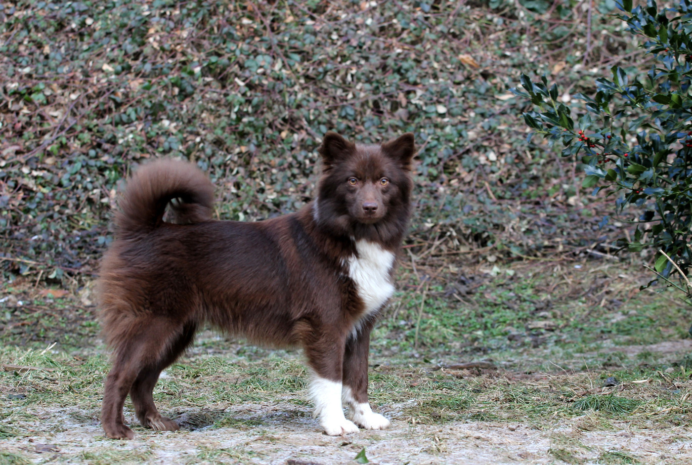 Unique Norway Nuance De La Fleur De Vie